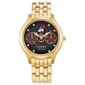 Citizen Women's Eco-Drive Disney Positively Minnie Gold-Tone Watch FD4018-55W